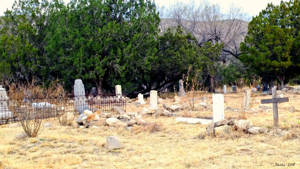 Old Cemetery by harbie