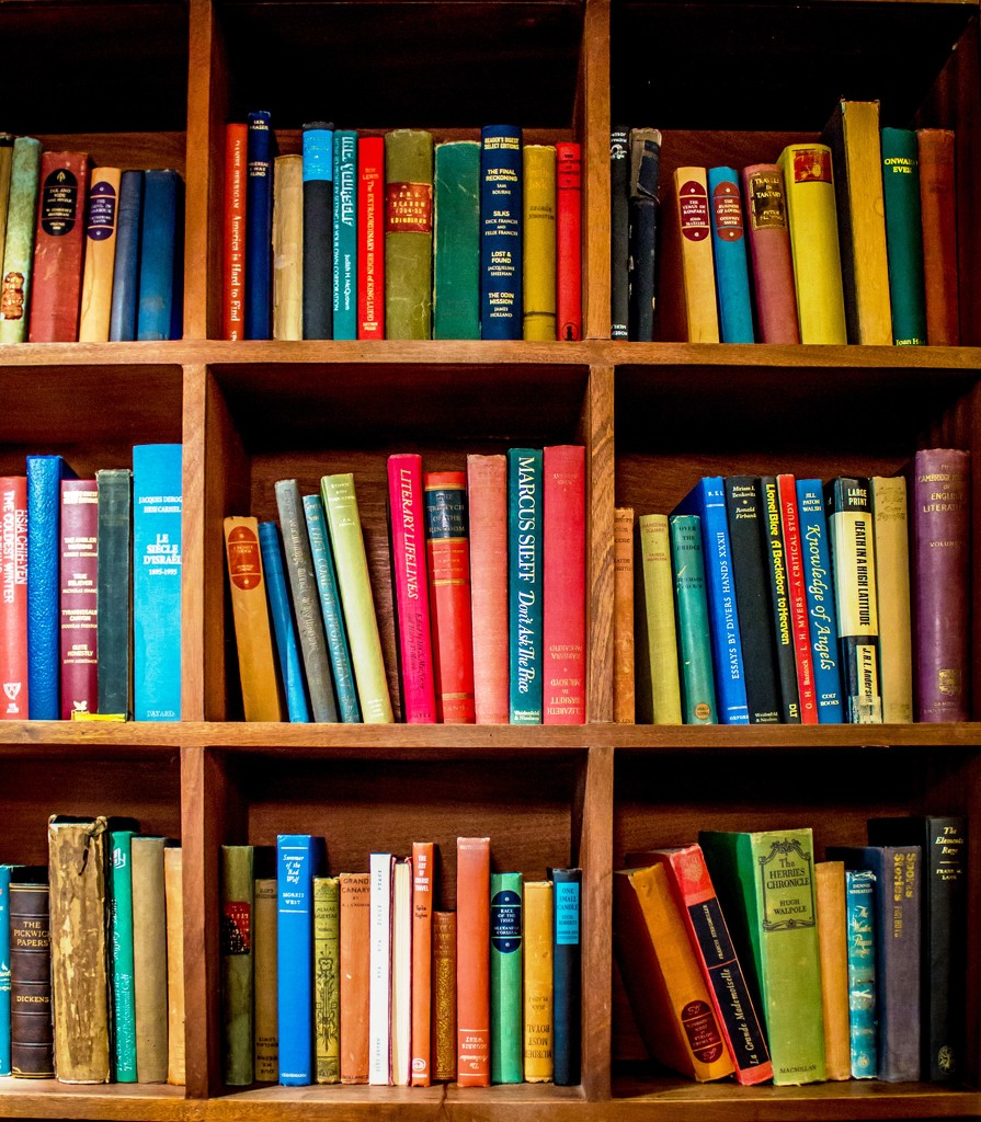 Pub bookshelves by swillinbillyflynn