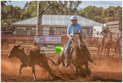 1st Apr 2018 - At the campdraft