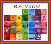 1st Apr 2018 - My rainbow!