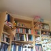 Bookcase birdies by alia_801