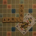 April Fool by jacqbb