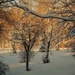 Sunrise after the snow fall by radiogirl