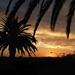 West Perth Sunset by judithdeacon
