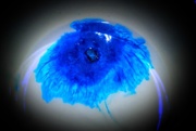 30th Mar 2018 - Old Blue Eye