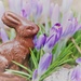 bunny hop by edorreandresen