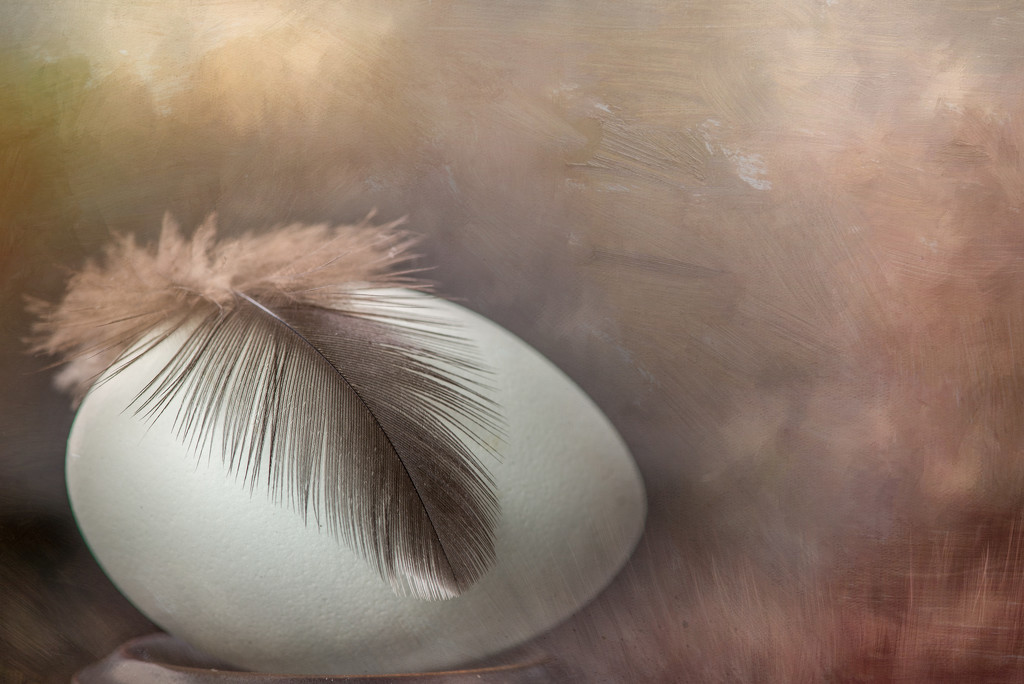 Egg by taffy