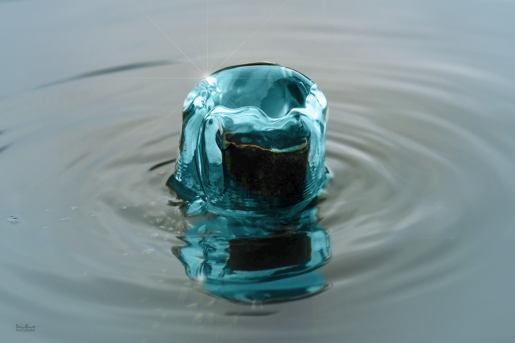 Water bubble by dkbarnett