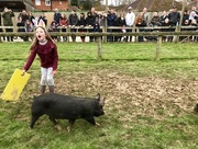 1st Apr 2018 - Pig races 