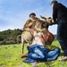 34 Michelangelo - Tondo Doni by domenicododaro