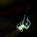 Eensy Weensy Spider by grammyn