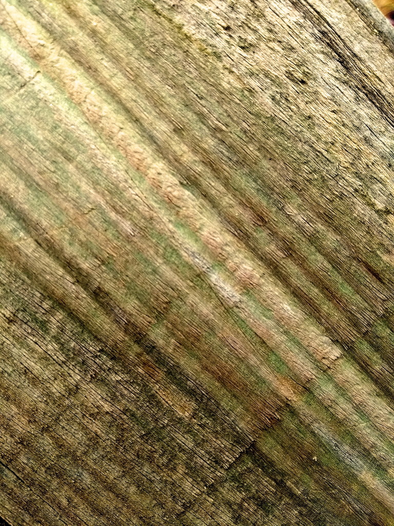 Wood Grain by redandwhite