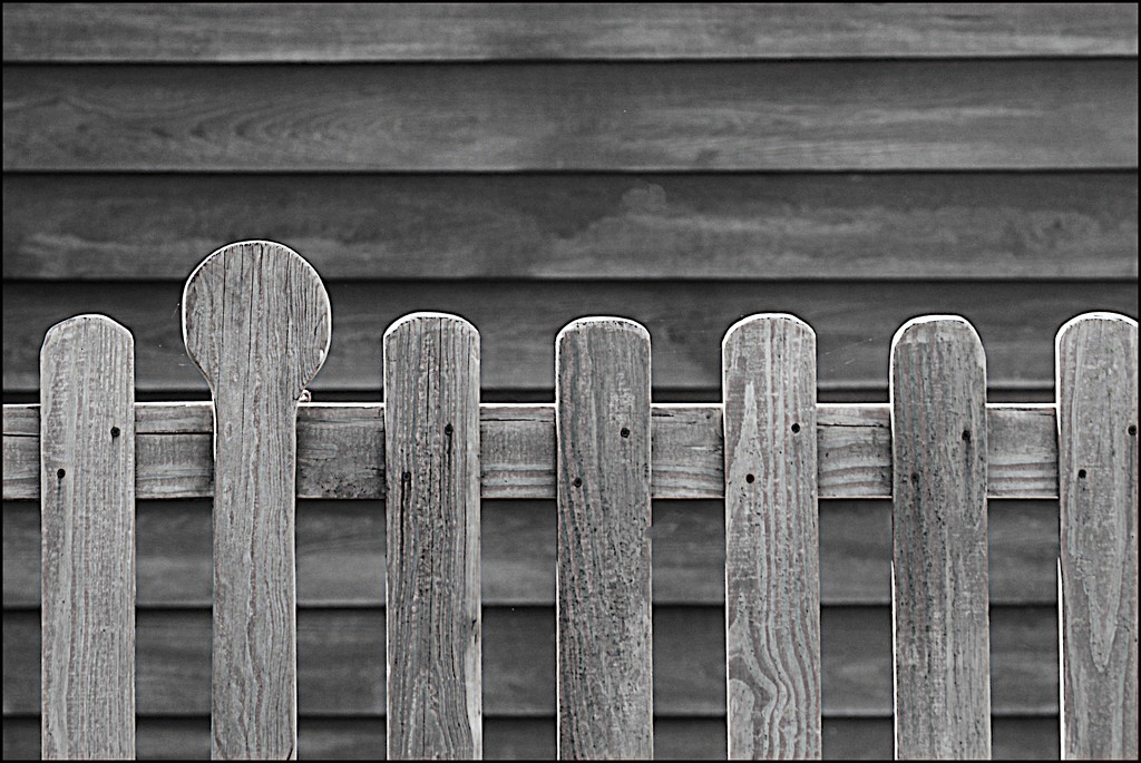 Wooden Fence by olivetreeann