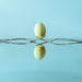 Balancing Egg by jnorthington