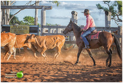 3rd Apr 2018 - At the campdraft