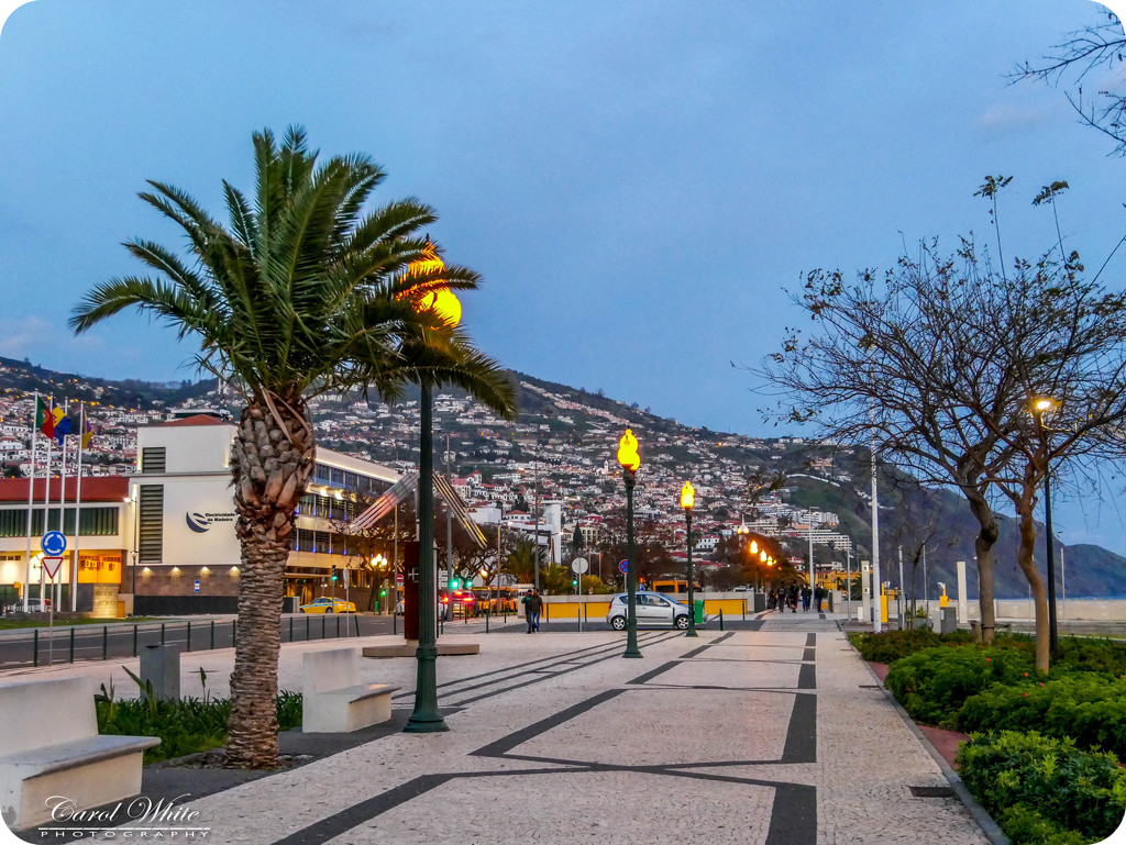 Twilight On The Promenade,Funchal by carolmw