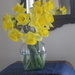 My Favorite Spring Blooms by bjywamer