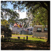 Carnival from the Campground  by wilkinscd