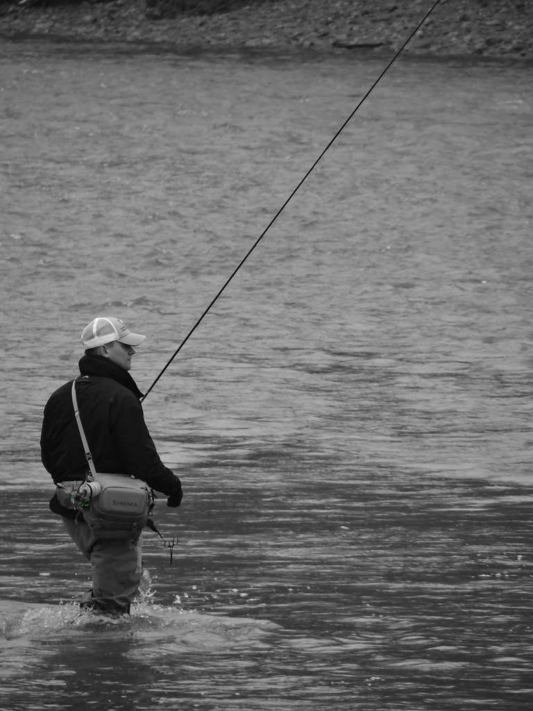 Steelhead Trout Fisherman by brillomick