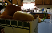 3rd Apr 2018 - HDR view of apples and kitchen