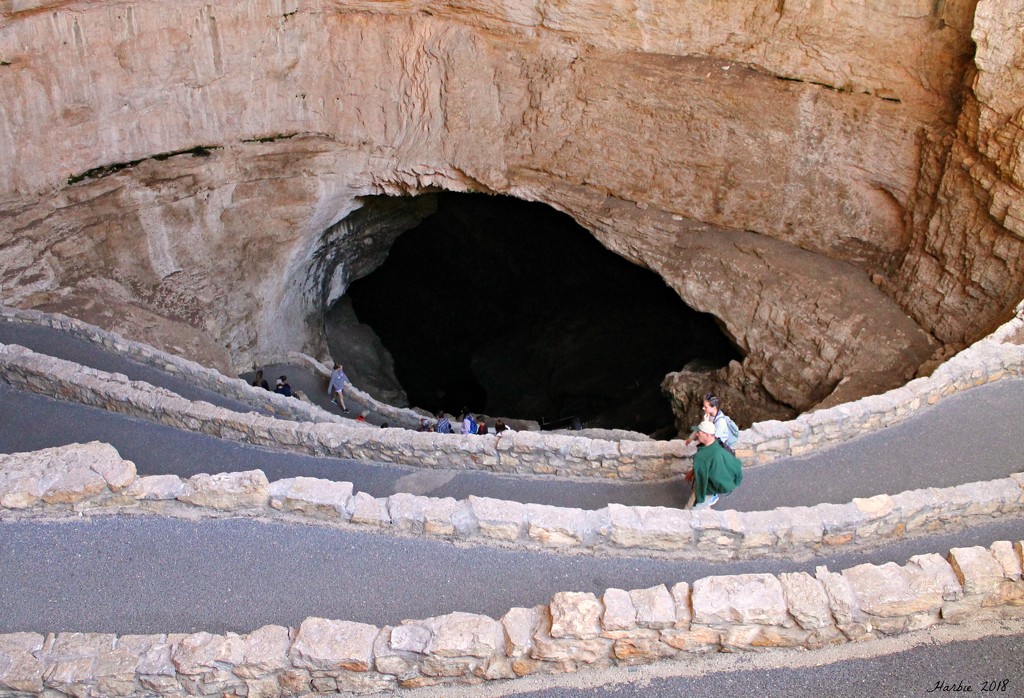 Carlsbad Cavern Entrance by harbie