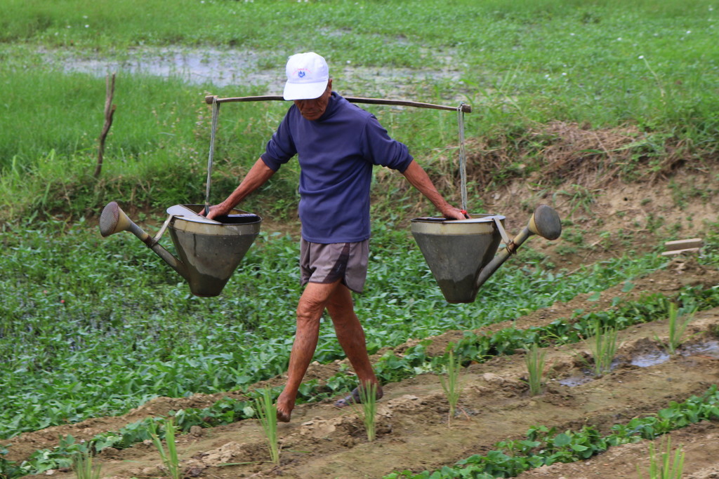 Vietnamese watering system by gilbertwood