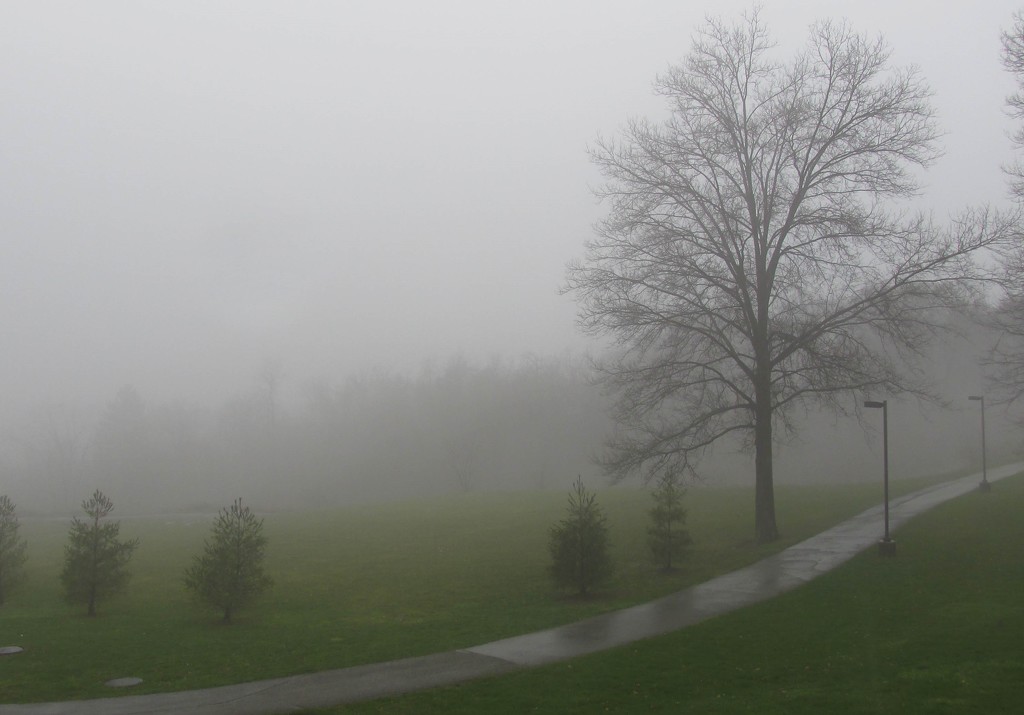 Foggy afternoon by mittens