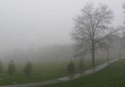 4th Apr 2018 - Foggy afternoon