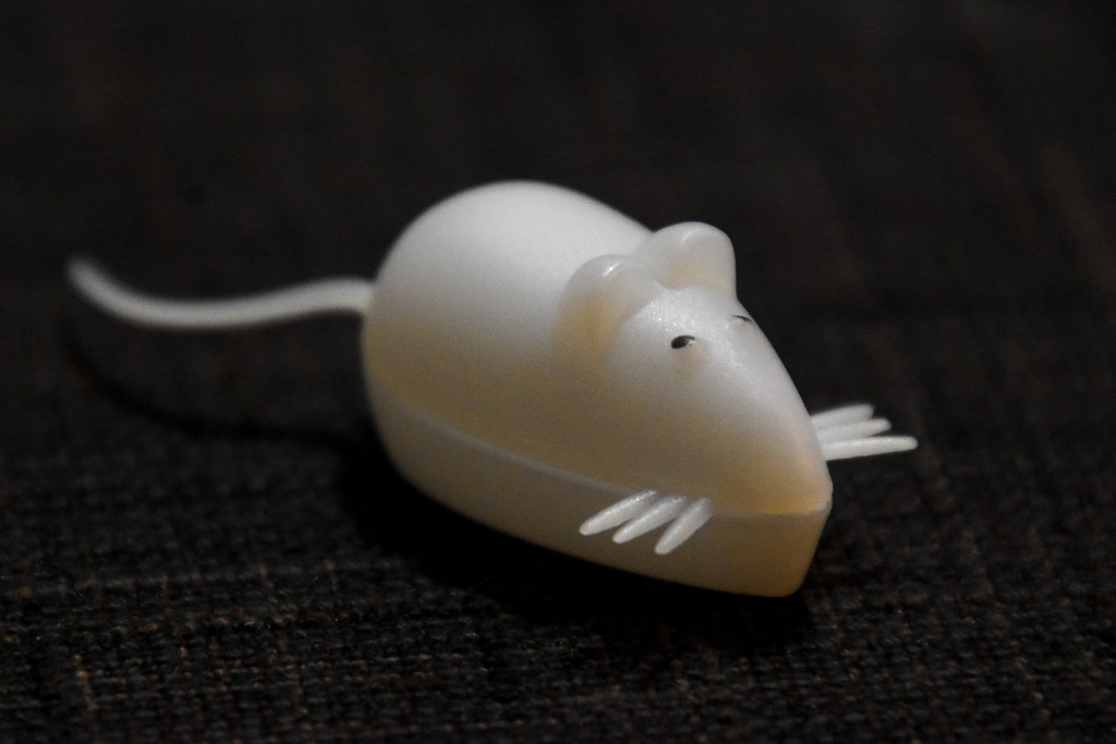 Tooth mouse by vera365