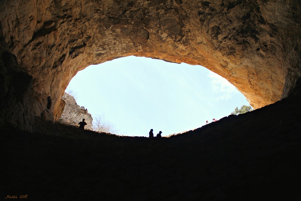 Carlsbad Cavern Entrance From Below by harbie