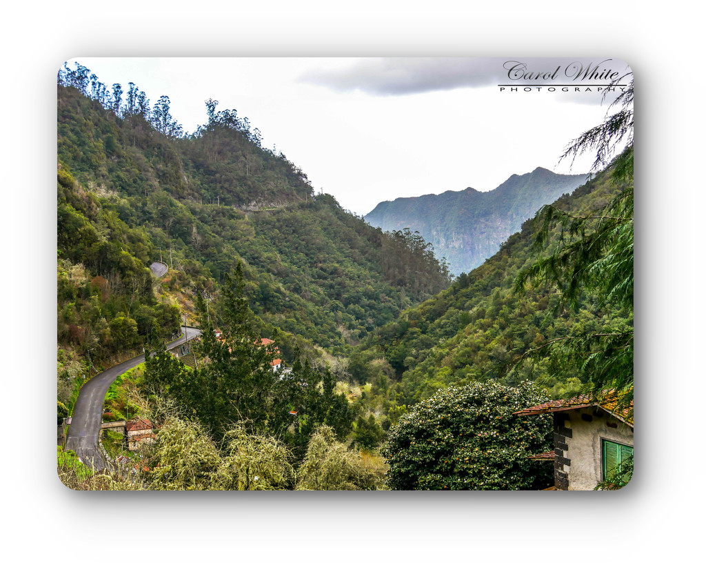 View Down The Valley From The Balcoes Levada Walk by carolmw