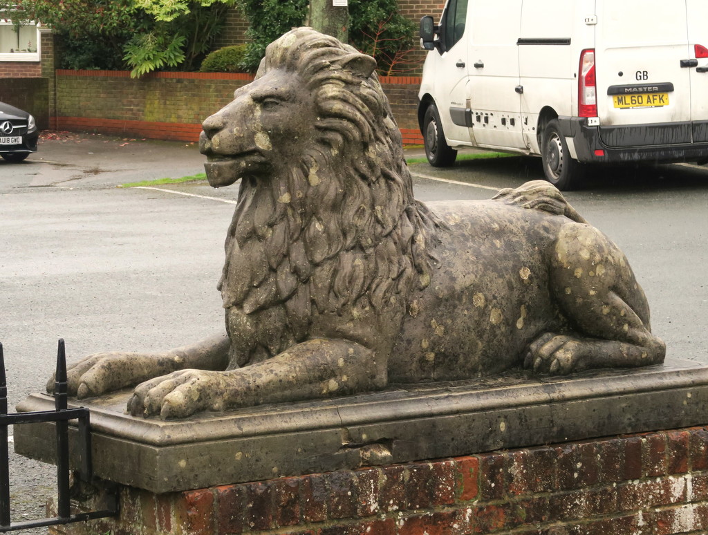Guard Lion by davemockford