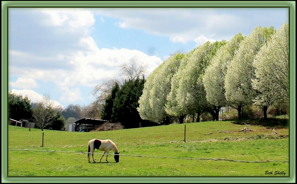 Pasturel Landscape by vernabeth