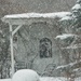 Snowy Backyard  by radiogirl