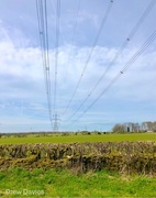 6th Apr 2018 - power lines