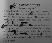 24th Feb 2018 - caraway seeds