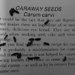 caraway seeds by shannejw