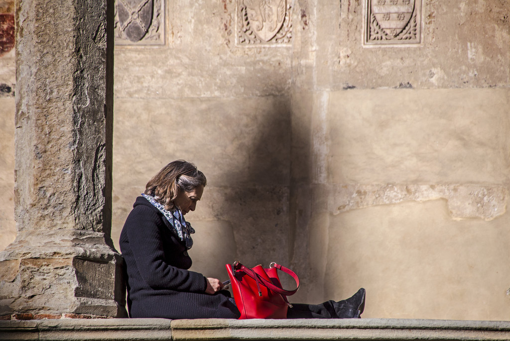 Lady with the Red Handbag by megpicatilly