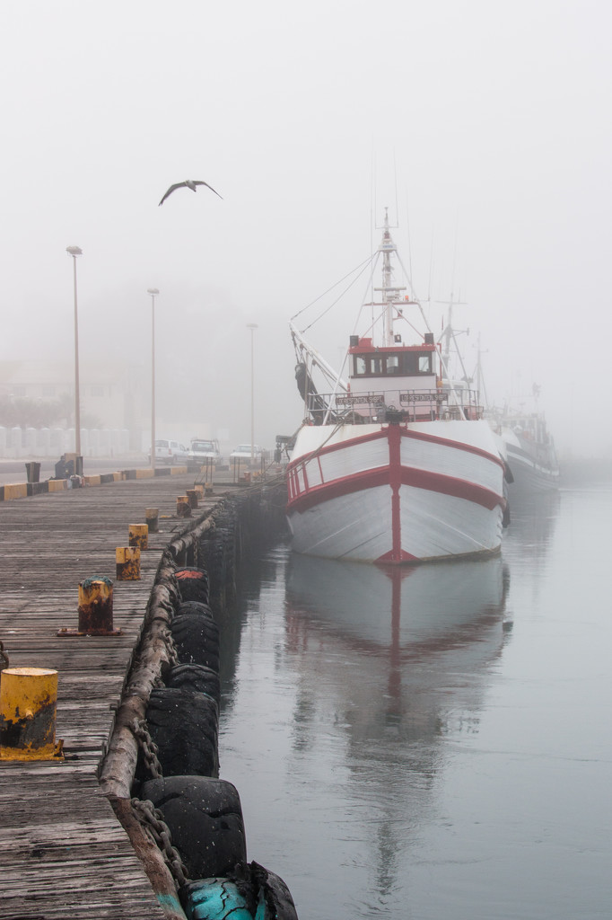 Misty Mornings by seacreature