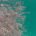 In full blossom by stiggle