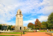 8th Apr 2018 - Sunday in Seymour square -tiltshift