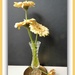 Four Flowers  by beryl