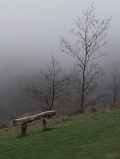 9th Apr 2018 - Waiting for the Fog to Clear