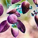 purple leaves by ulla