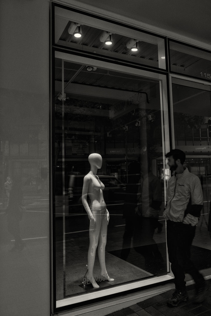 The Window Shopper by helenw2