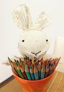 9th Apr 2018 - Rabbit's Crayons