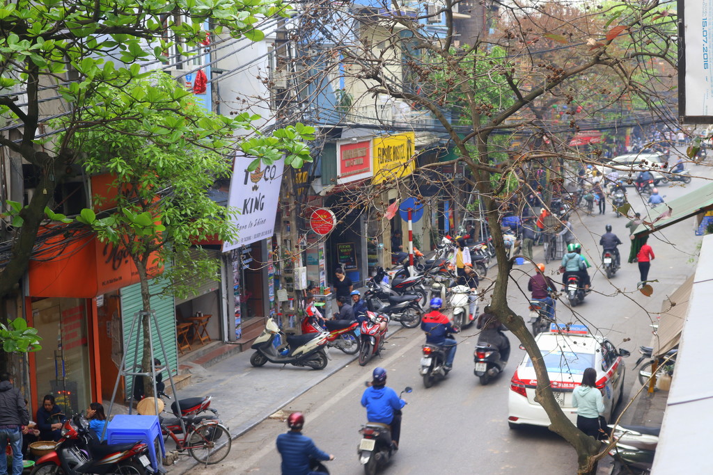 Hanoi street by gilbertwood