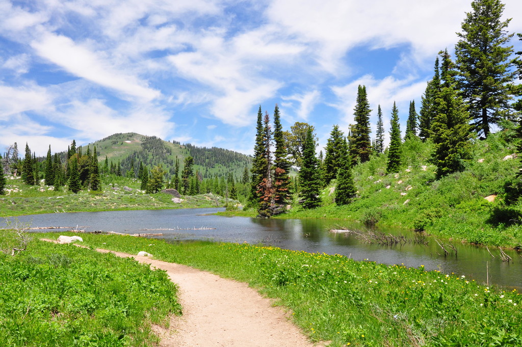 Bloomington Lake Trail by stownsend