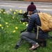 down among the daffodils  by quietpurplehaze