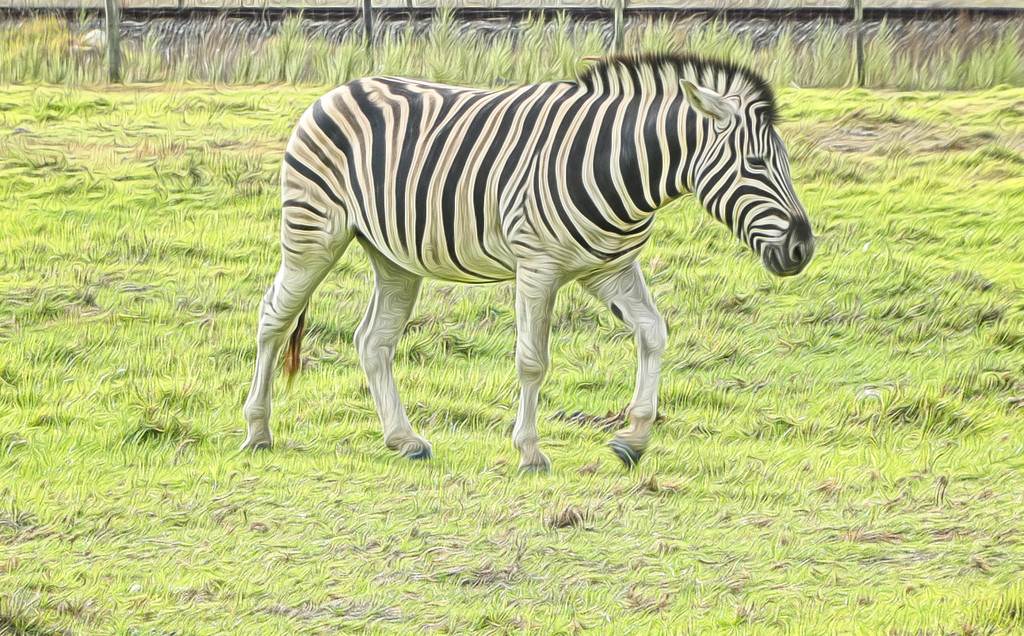 This Zebra... by ludwigsdiana